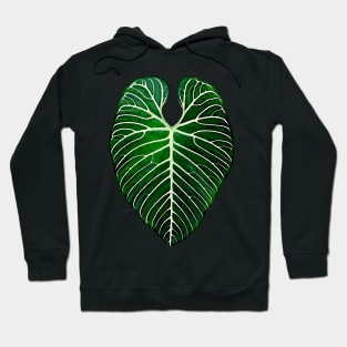 ANTHURIUM REGALE Hoodie